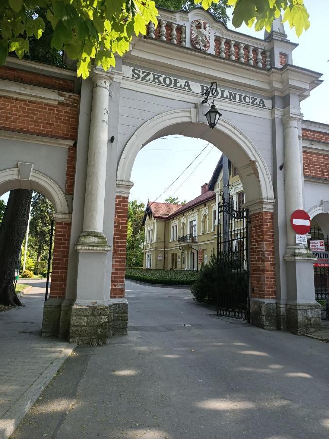 Apartament U Agaty Czernichow Krakow Zator Exterior foto